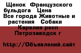 Щенок  Французского бульдога › Цена ­ 35 000 - Все города Животные и растения » Собаки   . Карелия респ.,Петрозаводск г.